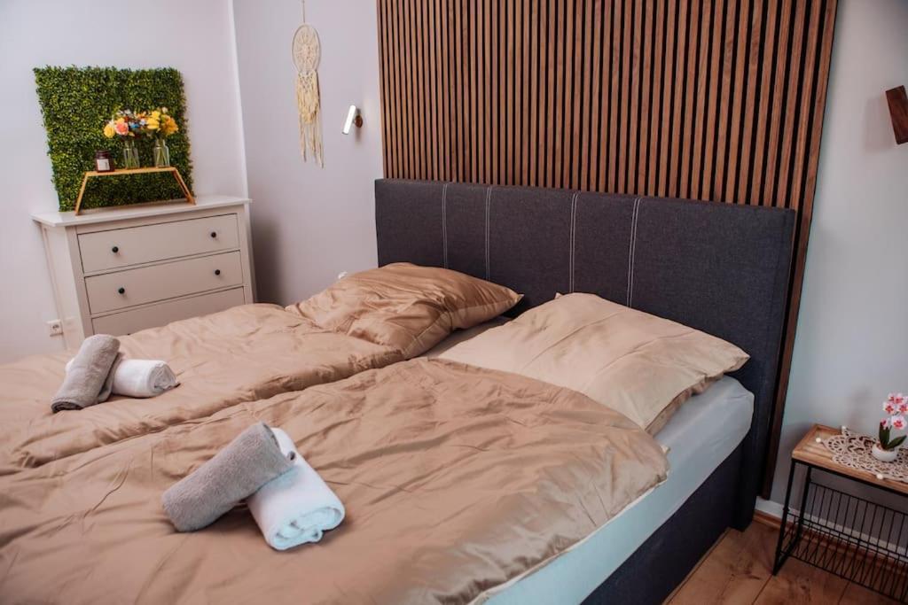 Sunny & Cozy - Netflix - Wifi - City - 4 Person Эссен Экстерьер фото